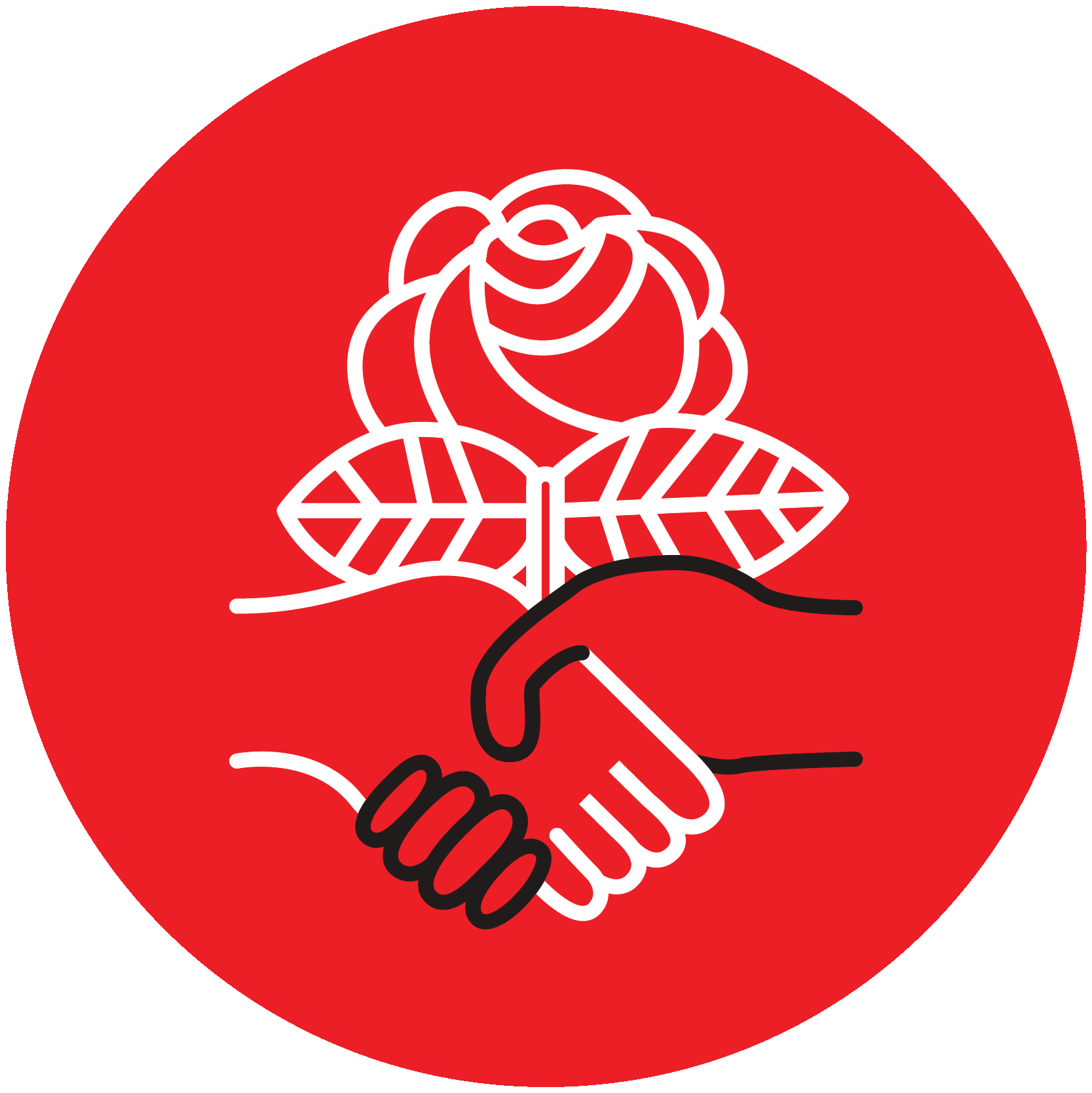 :dsa: